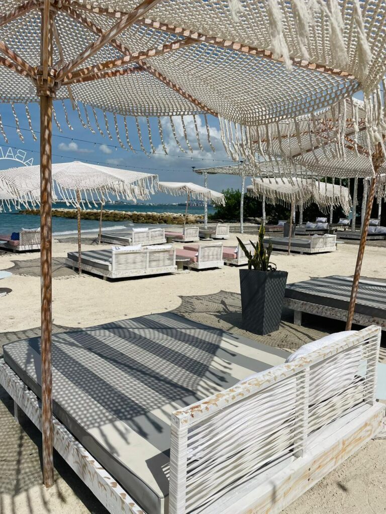 WhatsApp Image 2025 11 24 at 4.11.24 PM